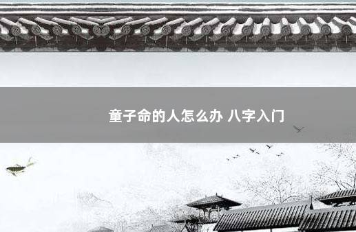 童子命的人怎么办 八字入门