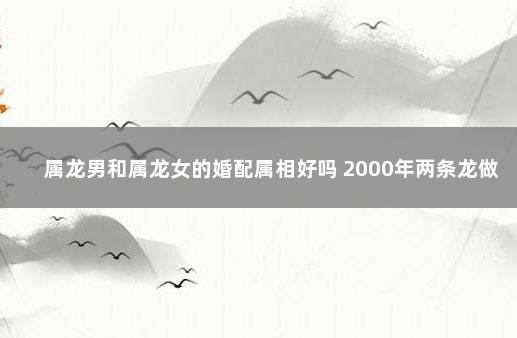 属龙男和属龙女的婚配属相好吗 2000年两条龙做夫妻好不好