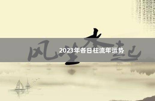 2023年各日柱流年运势