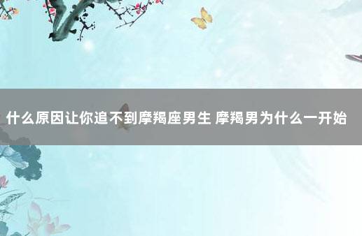 什么原因让你追不到摩羯座男生 摩羯男为什么一开始热情,后来就
