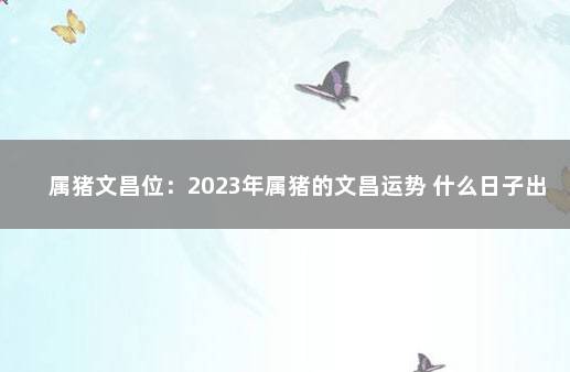 属猪文昌位：2023年属猪的文昌运势 什么日子出生带文昌