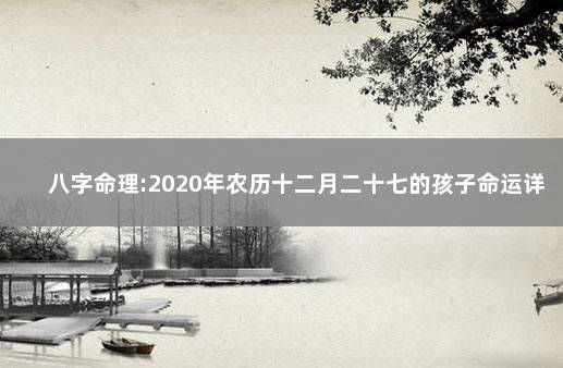 八字命理:2020年农历十二月二十七的孩子命运详解 生辰八字解析