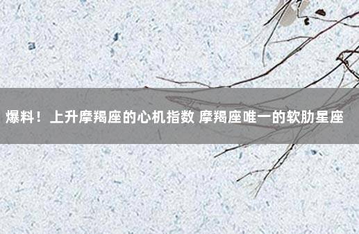爆料！上升摩羯座的心机指数 摩羯座唯一的软肋星座