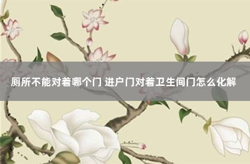 厕所不能对着哪个门 进户门对着卫生间门怎么化解