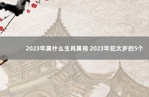 2023年属什么生肖属相 2023年犯太岁的5个属相