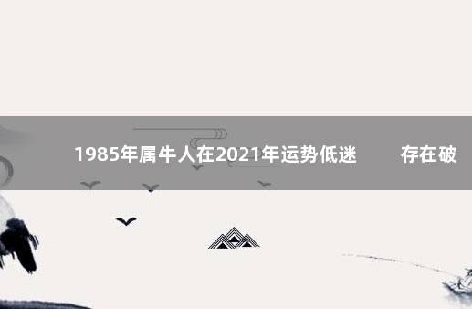 1985年属牛人在2021年运势低迷 　　存在破财的风险