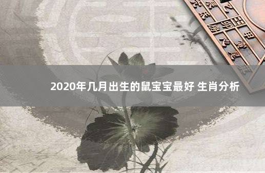 2020年几月出生的鼠宝宝最好 生肖分析