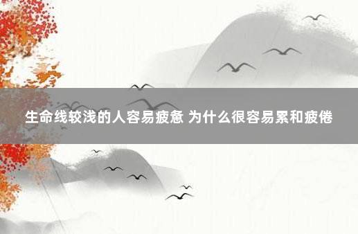 生命线较浅的人容易疲惫 为什么很容易累和疲倦