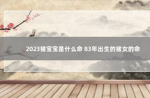 2023猪宝宝是什么命 83年出生的猪女的命