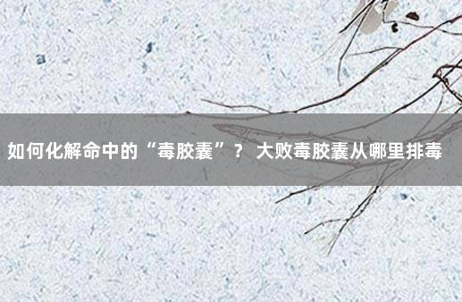 如何化解命中的“毒胶囊”？ 大败毒胶囊从哪里排毒