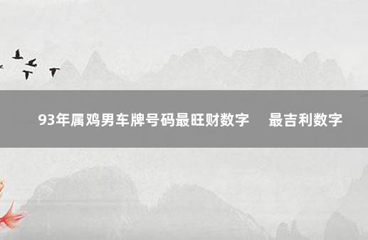 93年属鸡男车牌号码最旺财数字 　最吉利数字