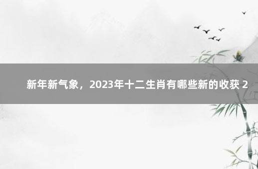 新年新气象，2023年十二生肖有哪些新的收获 2020年至2030年的生肖