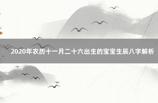 2020年农历十一月二十六出生的宝宝生辰八字解析 生辰八字解析