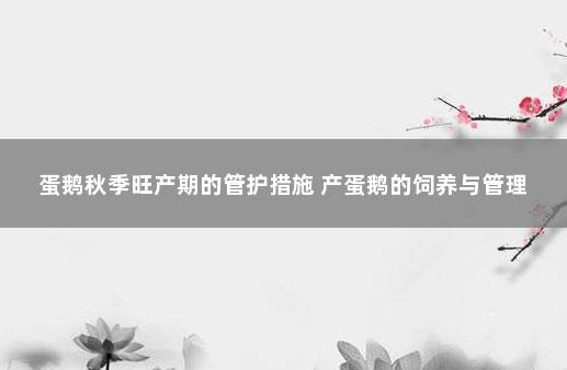 蛋鹅秋季旺产期的管护措施 产蛋鹅的饲养与管理