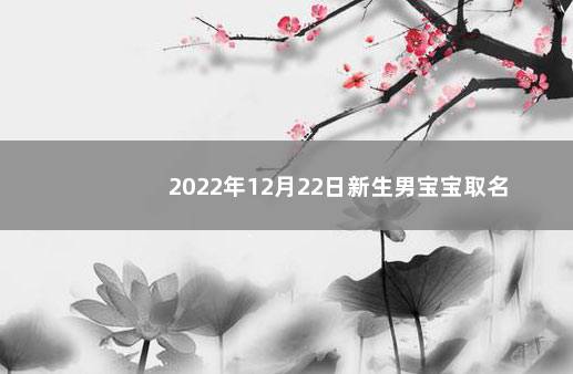 2022年12月22日新生男宝宝取名