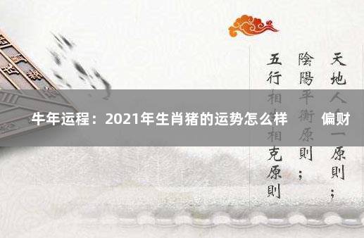 牛年运程：2021年生肖猪的运势怎么样 　　偏财运势较好