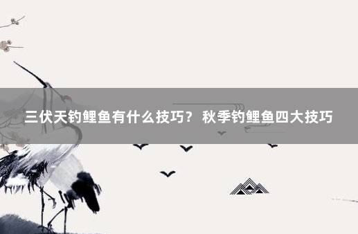 三伏天钓鲤鱼有什么技巧？ 秋季钓鲤鱼四大技巧