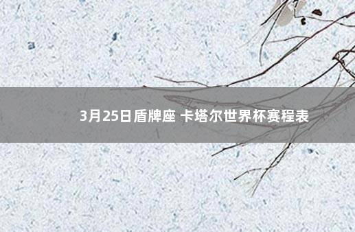 3月25日盾牌座 卡塔尔世界杯赛程表