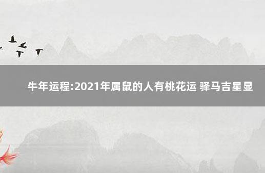 牛年运程:2021年属鼠的人有桃花运 驿马吉星显荣誉