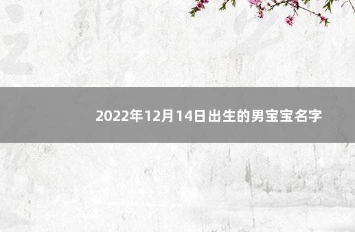 2022年12月14日出生的男宝宝名字