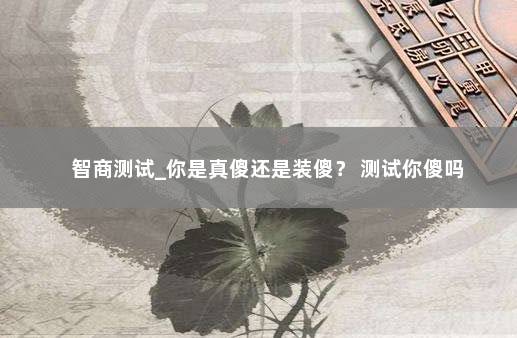 智商测试_你是真傻还是装傻？ 测试你傻吗