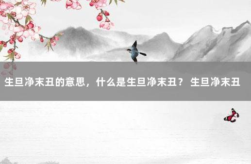 生旦净末丑的意思，什么是生旦净末丑？ 生旦净末丑下一句是什么