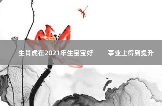 生肖虎在2021年生宝宝好 　　事业上得到提升