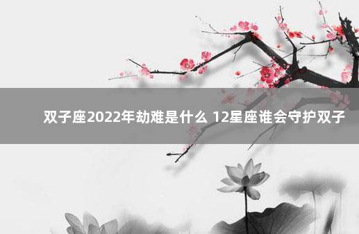 双子座2022年劫难是什么 12星座谁会守护双子