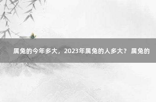 属兔的今年多大，2023年属兔的人多大？ 属兔的人今年几岁了