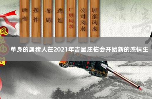 单身的属猪人在2021年吉星庇佑会开始新的感情生活 　　下半年运势动荡