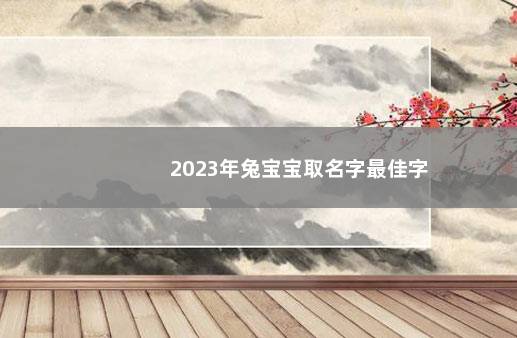 2023年兔宝宝取名字最佳字