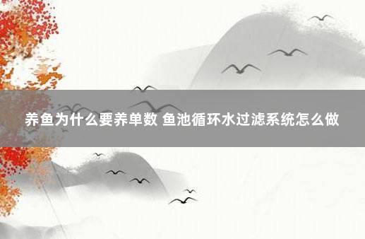 养鱼为什么要养单数 鱼池循环水过滤系统怎么做