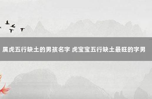 属虎五行缺土的男孩名字 虎宝宝五行缺土最旺的字男孩