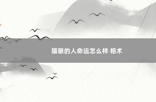 猫眼的人命运怎么样 相术