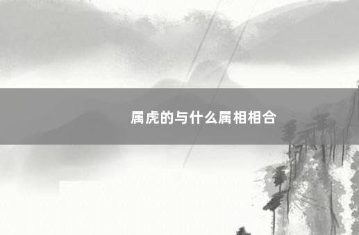 属虎的与什么属相相合