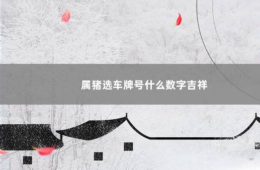 属猪选车牌号什么数字吉祥