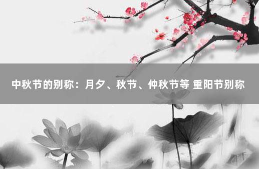 中秋节的别称：月夕、秋节、仲秋节等 重阳节别称