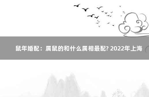鼠年婚配：属鼠的和什么属相最配? 2022年上海落户政策