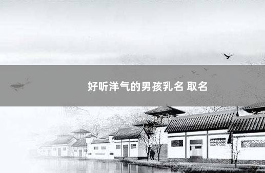 好听洋气的男孩乳名 取名