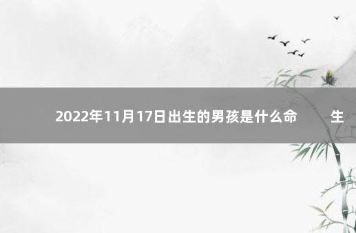 2022年11月17日出生的男孩是什么命 　　生辰八字查询