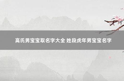高氏男宝宝取名字大全 姓段虎年男宝宝名字