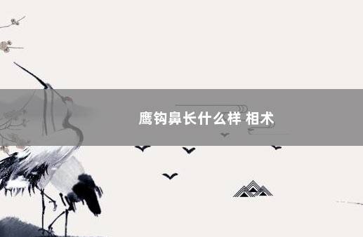 鹰钩鼻长什么样 相术