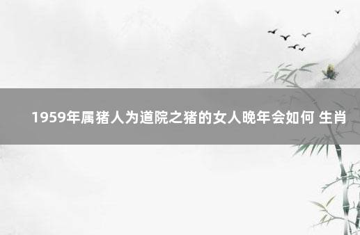 1959年属猪人为道院之猪的女人晚年会如何 生肖分析