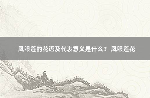 凤眼莲的花语及代表意义是什么？ 凤眼莲花