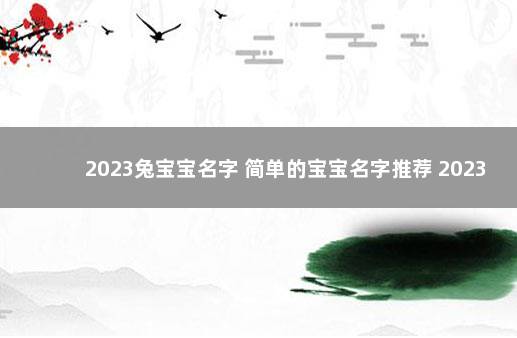 2023兔宝宝名字 简单的宝宝名字推荐 2023年征兵报名