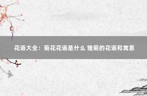 花语大全：菊花花语是什么 雏菊的花语和寓意