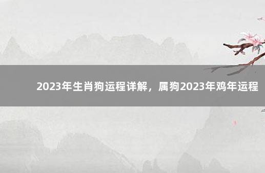 2023年生肖狗运程详解，属狗2023年鸡年运程大全 2022年上海落户政策