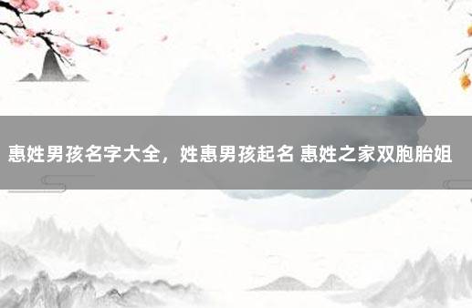 惠姓男孩名字大全，姓惠男孩起名 惠姓之家双胞胎姐妹取名