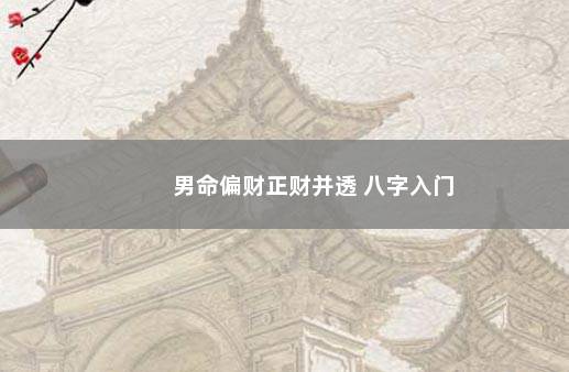 男命偏财正财并透 八字入门