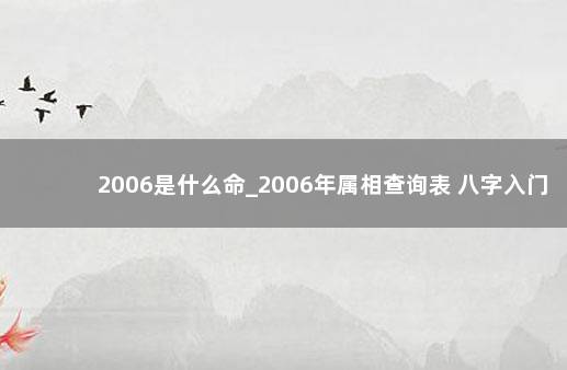 2006是什么命_2006年属相查询表 八字入门